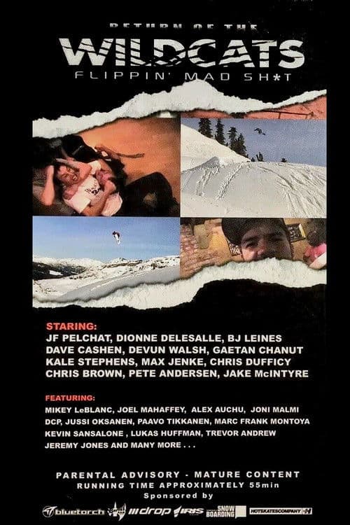 Return Of The Wildcatsのポスター