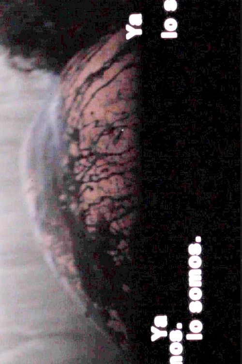 Ya lo somosのポスター