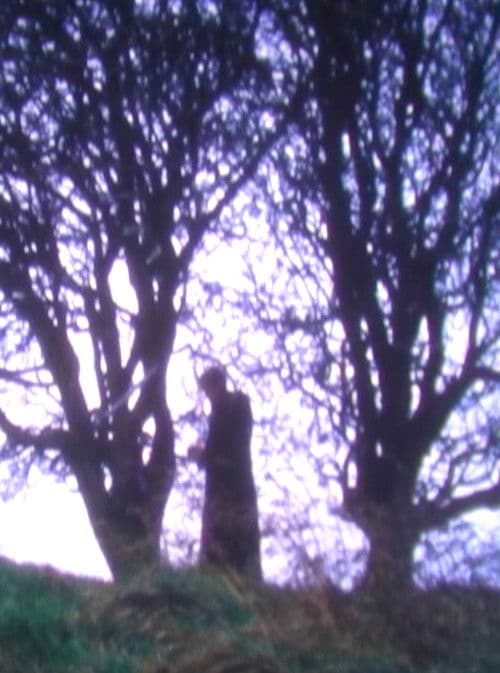 Tír na nÓgのポスター