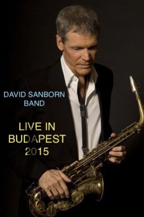 David Sanborn Band Live in Budapest 2015のポスター