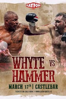 Dillian Whyte vs. Christian Hammerのポスター