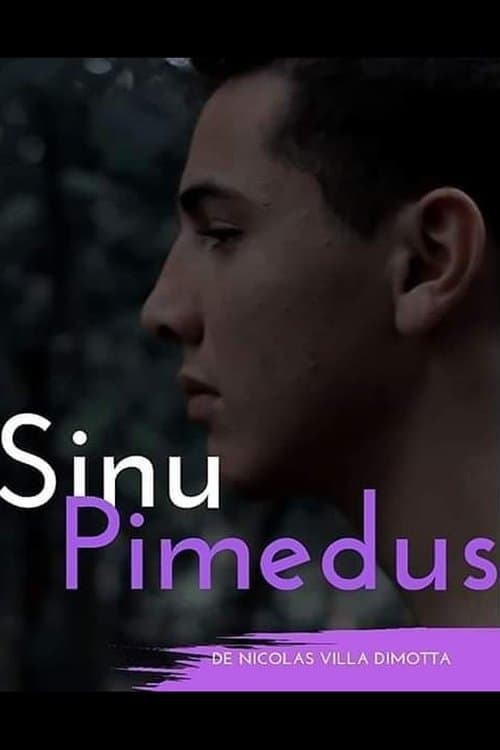 Sinu Pimedusのポスター