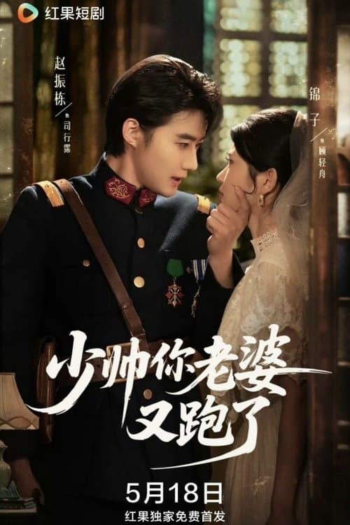 少帅你老婆又跑了のポスター