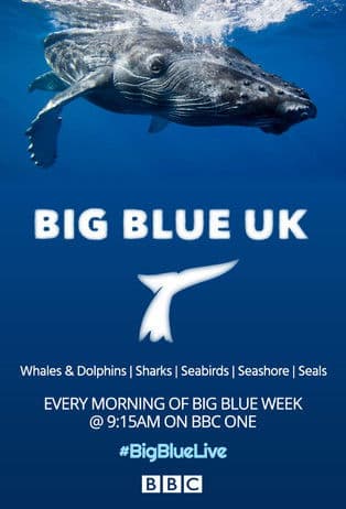 Big Blue UKのポスター