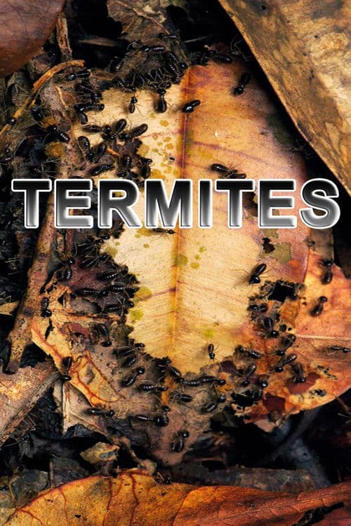 Termites: The Inner Sanctumのポスター