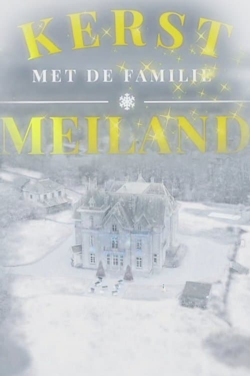 Kerst met de familie Meilandのポスター