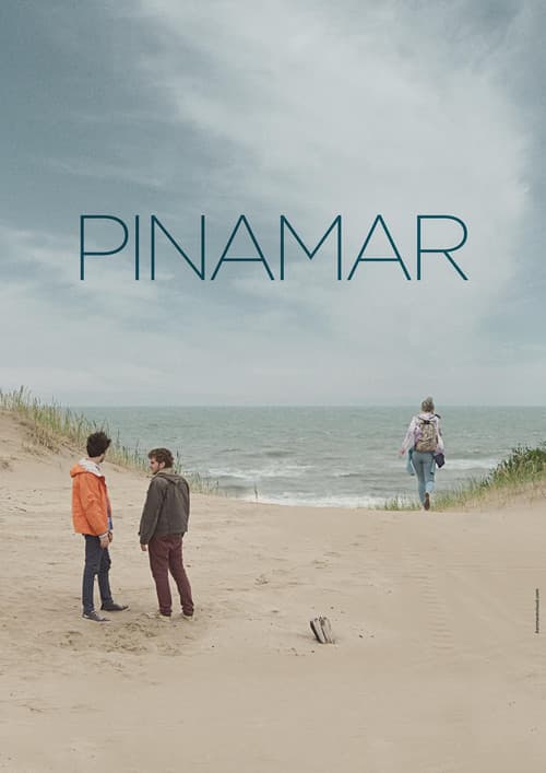 Pinamarのポスター