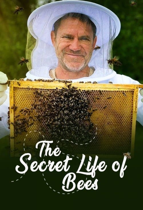 The Secret Life of Beesのポスター