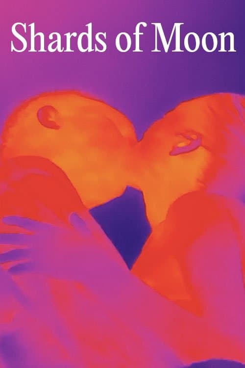 月亮残片のポスター