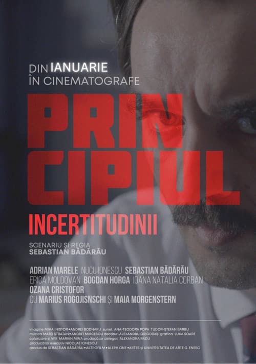 Principiul incertitudiniiのポスター