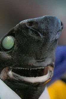 Alien Sharks: Return To The Abyssのポスター