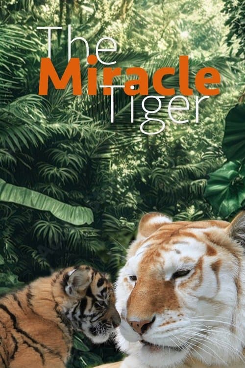 The Miracle Tigerのポスター