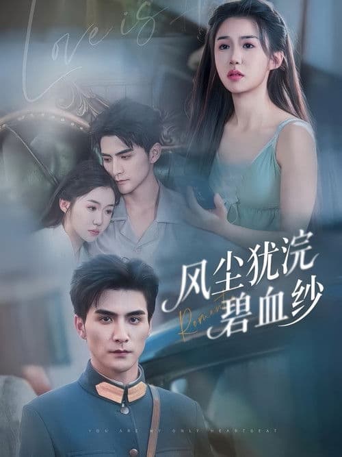 风尘犹浣碧血纱のポスター