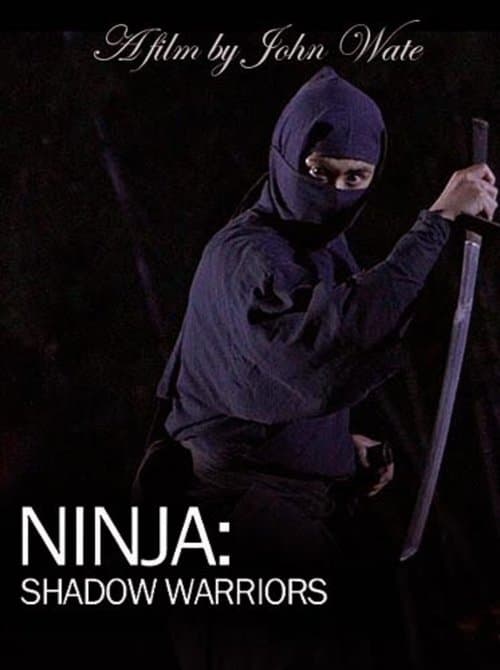 Ninja Shadow Warriorsのポスター