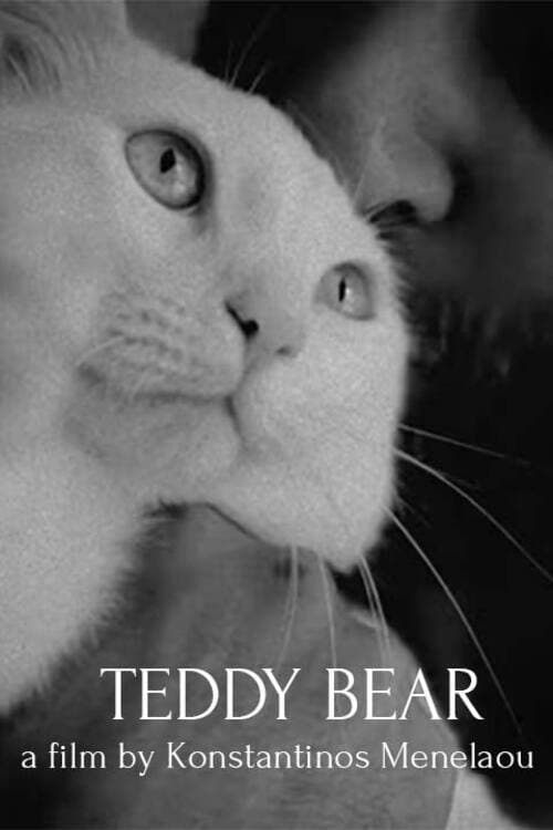 Teddy Bearのポスター