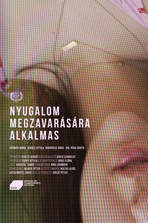 Nyugalom megzavarására alkalmasのポスター