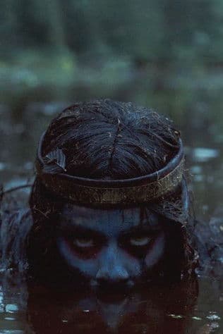 Vadātājsのポスター