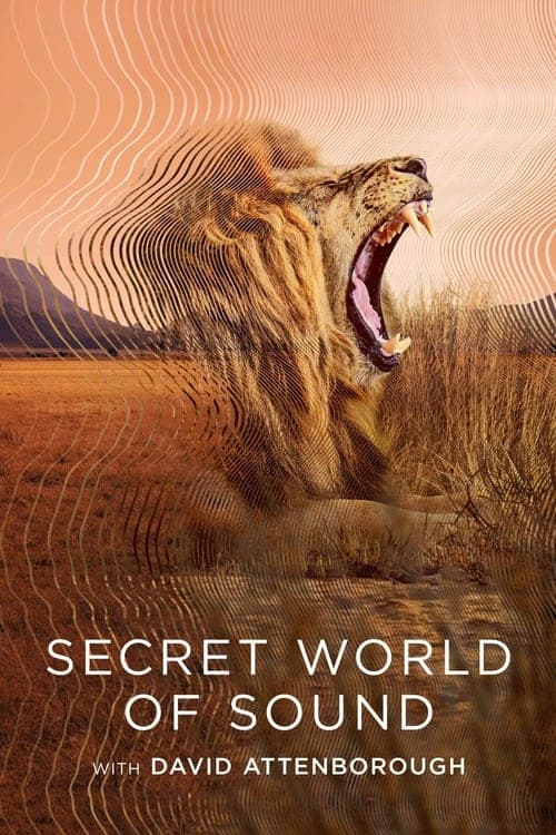 Secret World of Soundのポスター
