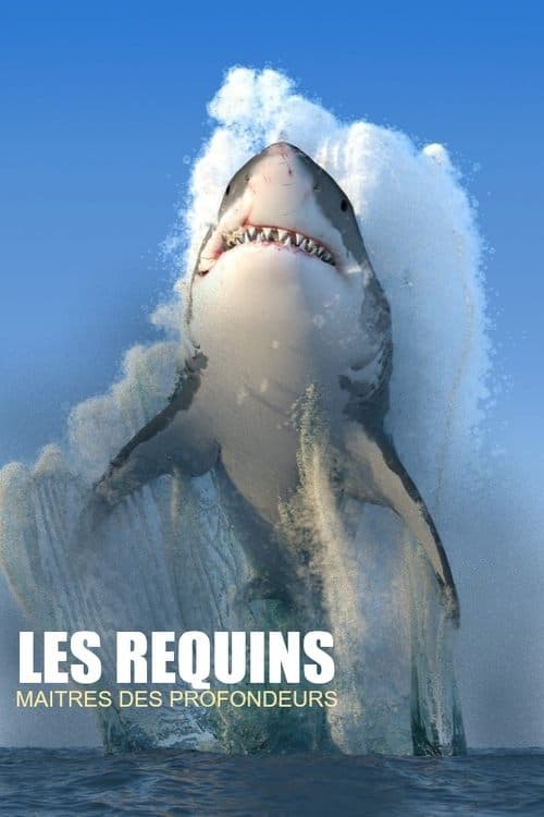 Les requins, maîtres des profondeursのポスター