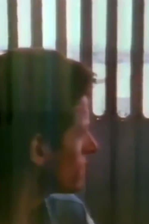 The Blue Nile: Flags and Fencesのポスター