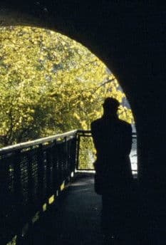 Renateのポスター