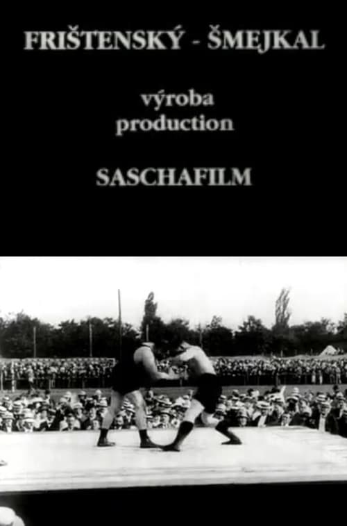 Frištenský - Šmejkalのポスター