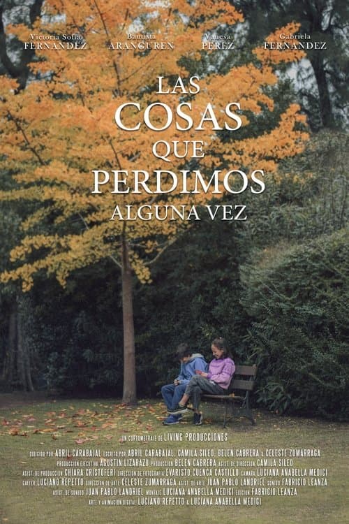 Las cosas que perdimos alguna vezのポスター